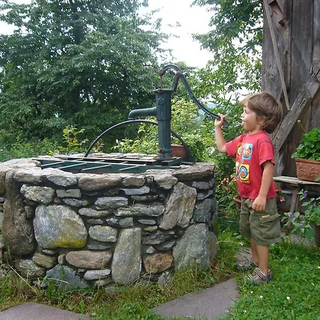 Farm stay Eichenhof Berg im Drautal