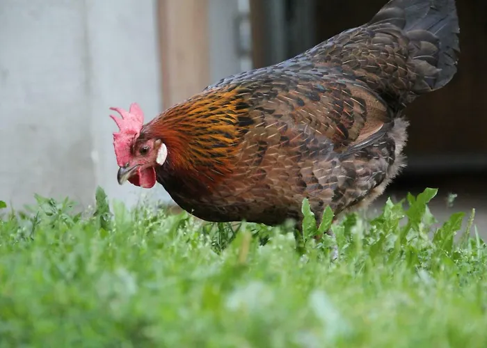 Eichenhof Séjour à la ferme *