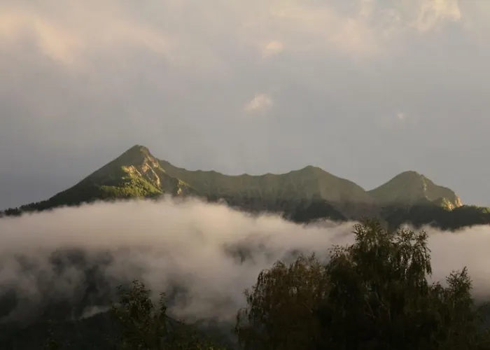 Séjour à la ferme Eichenhof *